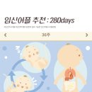 280데이즈 이미지
