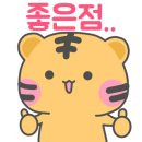 완주군 공설운동장 네이버블로그