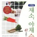 채소야채