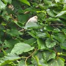 아도농장 이미지