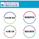 강서수산시장 석화,가리비,벌교 꼬막 가격 조회 링크 공유