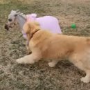 월리농장 이미지