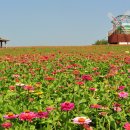 들판농장 이미지