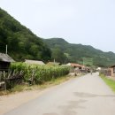 김석하 Daum카페