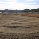 서구농장 이미지