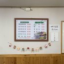 섬마을식당 티스토리