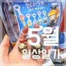 2025) 5월 우당탕 일상 일기 .˚ * ⊹ • (๑・▿・๑) • ⊹ * ˚.