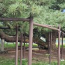 장학보건진료소 이미지