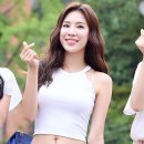 스텔라 이미지