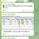 에스피지코리아 - 79981 | 에스피지코리아