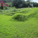 동막동(6) 이미지