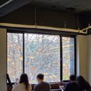 효원공원 | [수원]인계동 카페 도안 방문후기｜효원공원뷰 내돈내산 감성카페