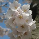 시골민박 이미지