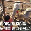 청송목장2 이미지