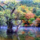 삼풍목욕탕 이미지