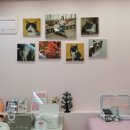 고양이무마취미용 냥지곤지 이미지