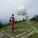 서하동복 이미지