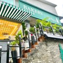 포르피노열세번째이야기 이미지