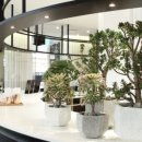 어니언테이블 이미지