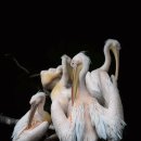 차와 함께 일상으로의 여행 이미지