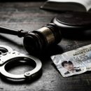 오로지생돈 이미지