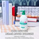 토라스킨 스쿠알란 시카보습크림 후기 건조한 피부 데일리 보습템 추천