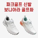 이것이 파크골프다. 우승팀은 이미 정해져 있었다?! 각본 없는 드라마, 결승전 서든데스 현장! 이미지