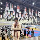 늘품태권도 이미지