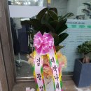 탑프로 스팀세차 이미지