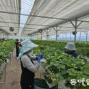 이문수농장 이미지