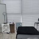 엘르무아 | 일산눈썹문신 첫 도전, 기대 이상이었던 엘르무아 두피&눈썹 일산점