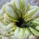 김장하는날 이미지