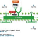 비발디투어주