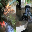 신사세탁 이미지