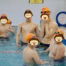 토이키즈 스윔클럽 네이버블로그