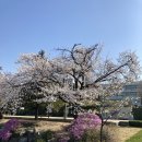 CU부천로즈점 이미지