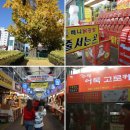 만달이네 수제간식 | 강릉 중앙시장 방문기 | 천년 은행나무와 풍성한 먹거리로 채운 시간