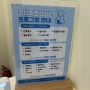 소담동물병원 네이버블로그