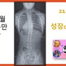 우리메디칼보조기 이미지