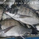 홀통낚시 이미지