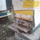 오늘부터애간장 이미지