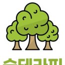숲테라피 이미지