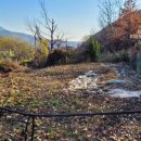 임대길농장 이미지