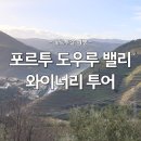 포르투 | 도우루 밸리 와인 투어 예약 보트 포르투 와이너리 후기