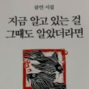 도마니 이미지