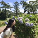 상귀리아 네이버블로그