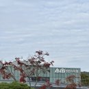 영흥수목원 전시온실 | 수원 식물원 영흥수목원 | 입장료 온실 버터플라이카페 후기
