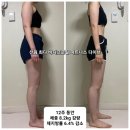 피트니스다이브 이미지