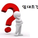KT 플라자 횡단보도 Daum카페