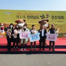 강진-37 이미지
